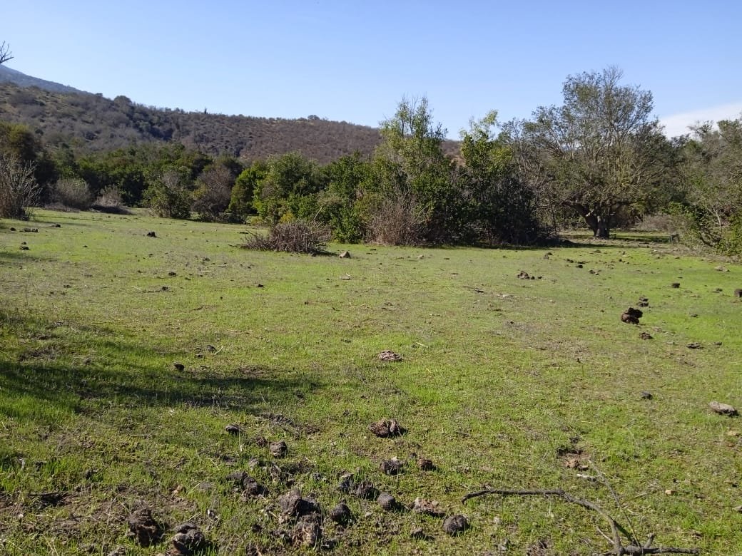 Parcelas a la venta en Longotoma, Valle del Longotoma