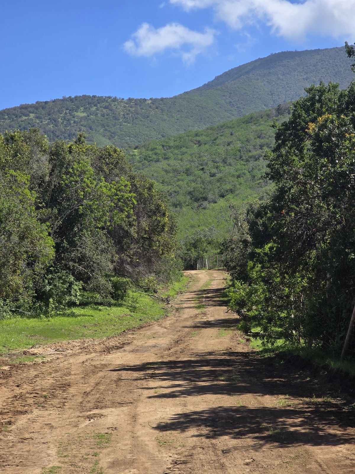 Fotografía 6 del terreno, Parcela 24 — Aires de Longotoma
