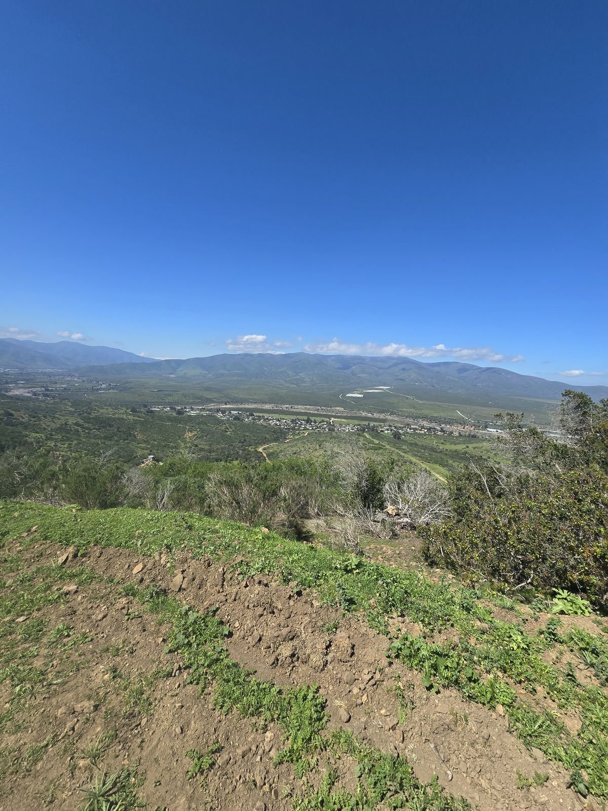 Fotografía 11 del terreno, Parcela 24 — Aires de Longotoma