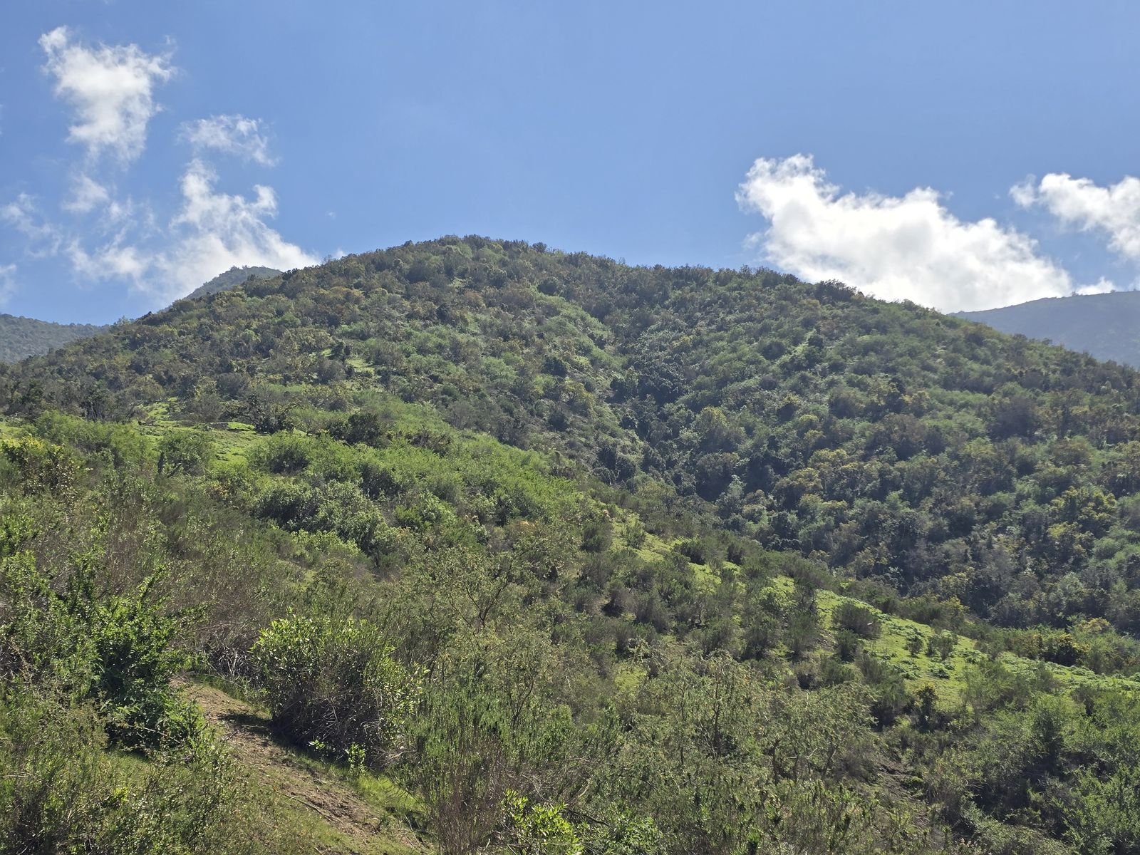 Fotografía 29 del terreno, Parcela 24 — Aires de Longotoma