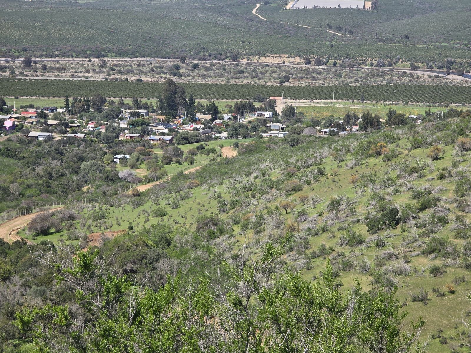 Fotografía 38 del terreno, Parcela 24 — Aires de Longotoma