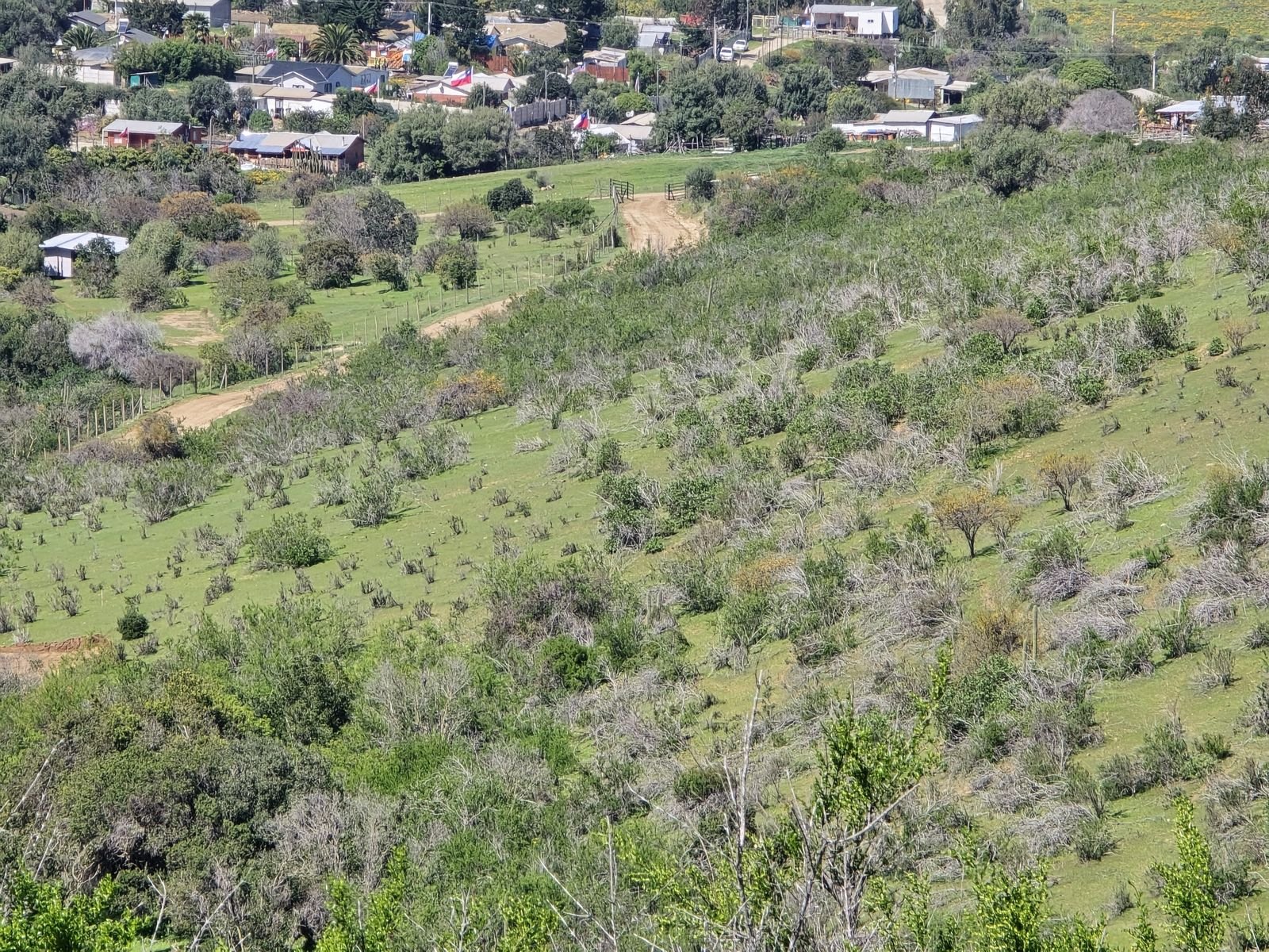 Fotografía 39 del terreno, Parcela 24 — Aires de Longotoma