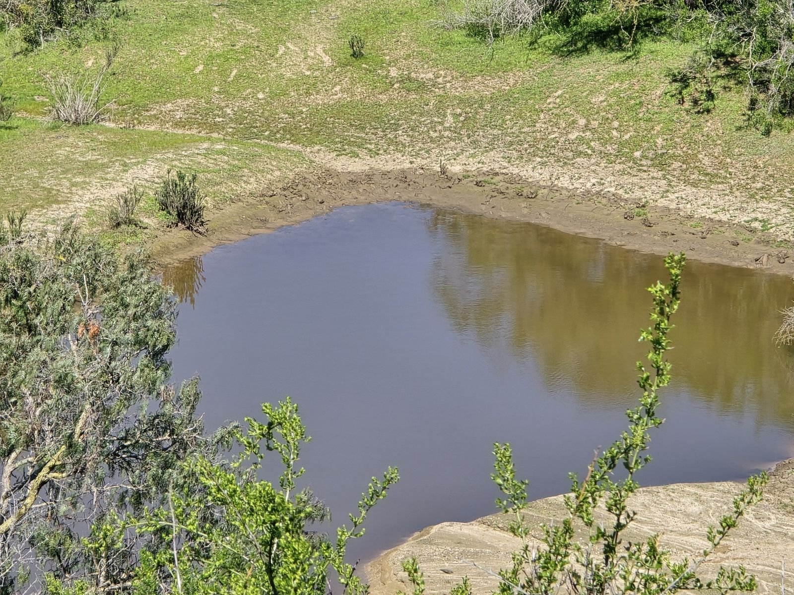 Fotografía 44 del terreno, Parcela 24 — Aires de Longotoma