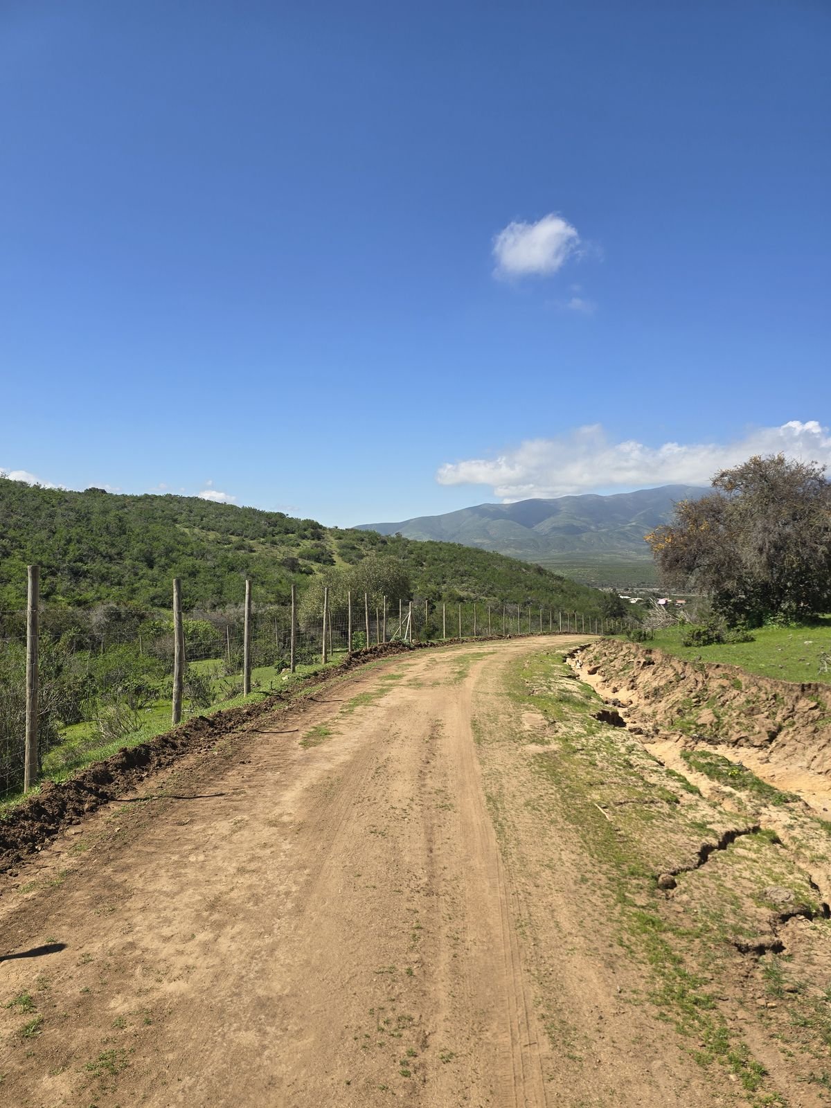 Fotografía 1 del terreno, Parcela 24 — Aires de Longotoma