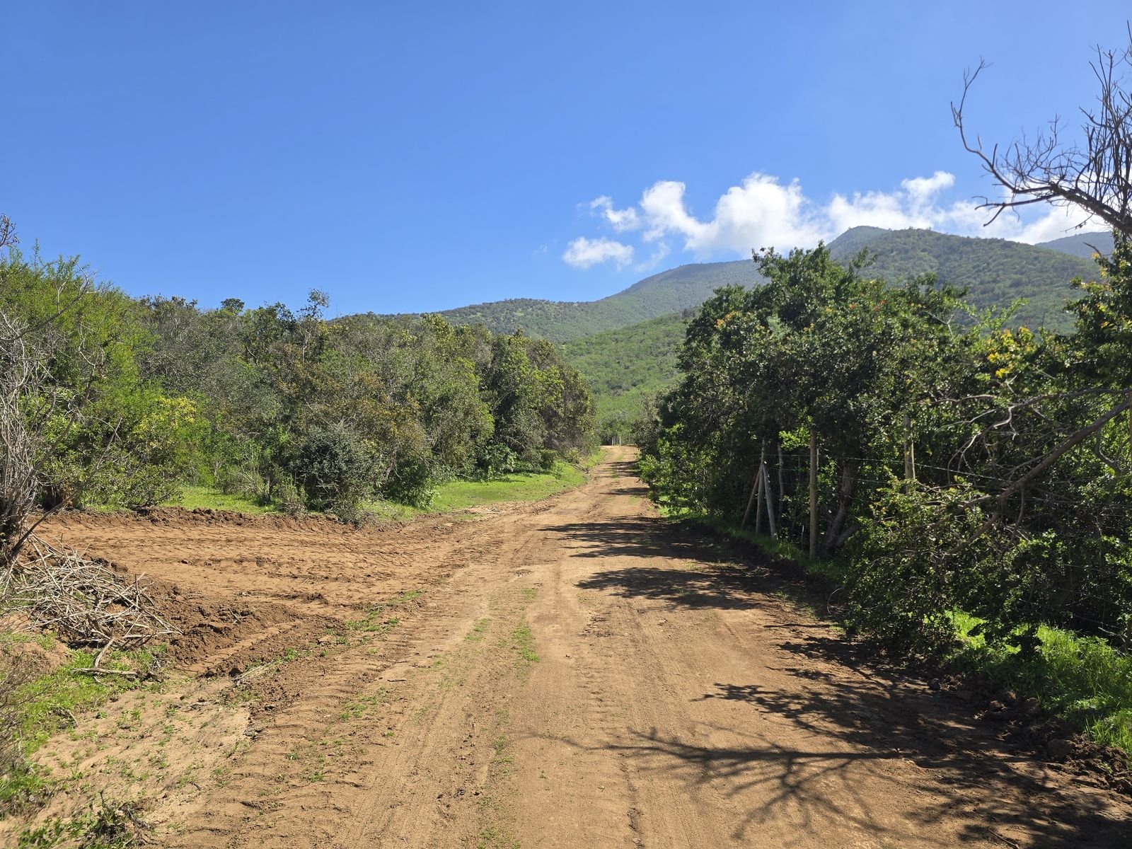 Fotografía 3 del terreno, Parcela 24 — Aires de Longotoma